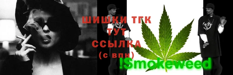 Бошки Шишки THC 21%  дарнет шоп  Циолковский 